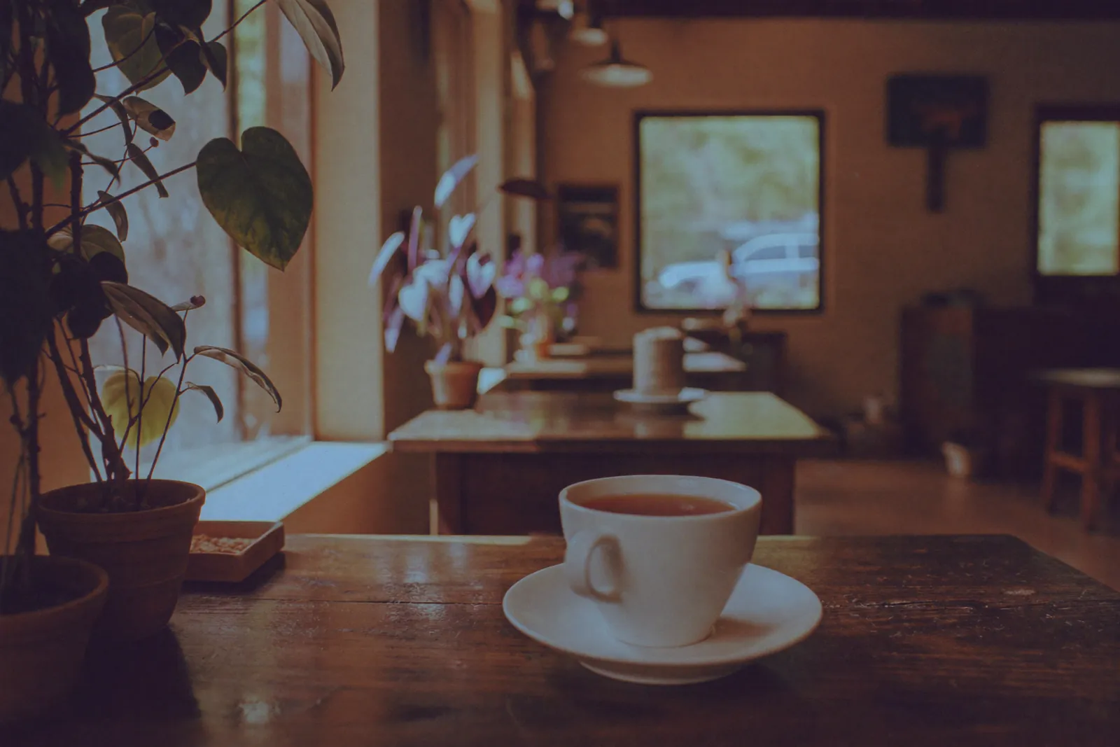 Restaurants & cafes on Ovynta